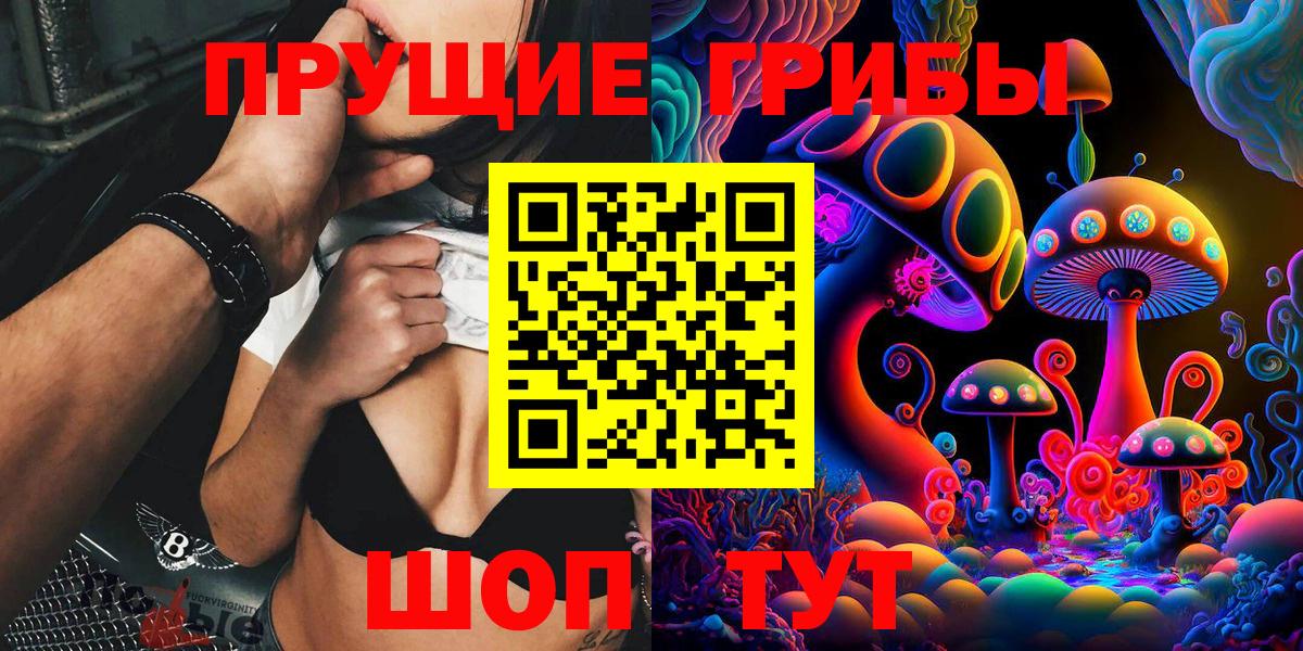 A PVP Димитровград