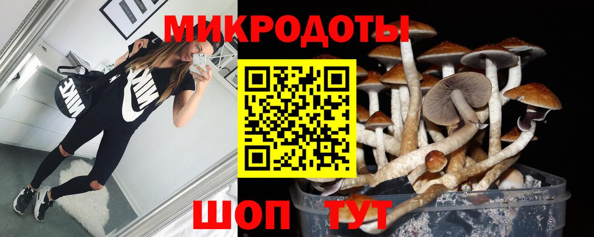 Галлюциногенные грибы прущие грибы Димитровград