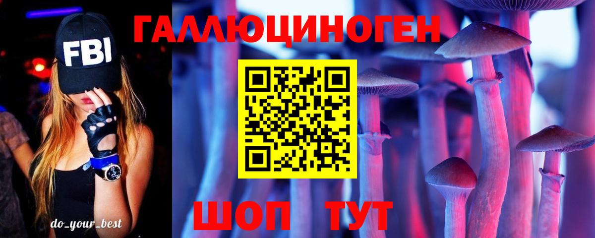 купить наркотик  Вход с VPN  Димитровград  Псилоцибиновые грибы прущие грибы 